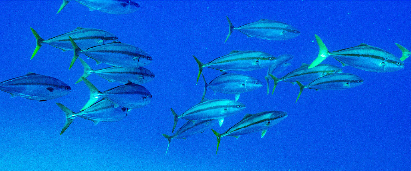 豊産業機械販売有限会社