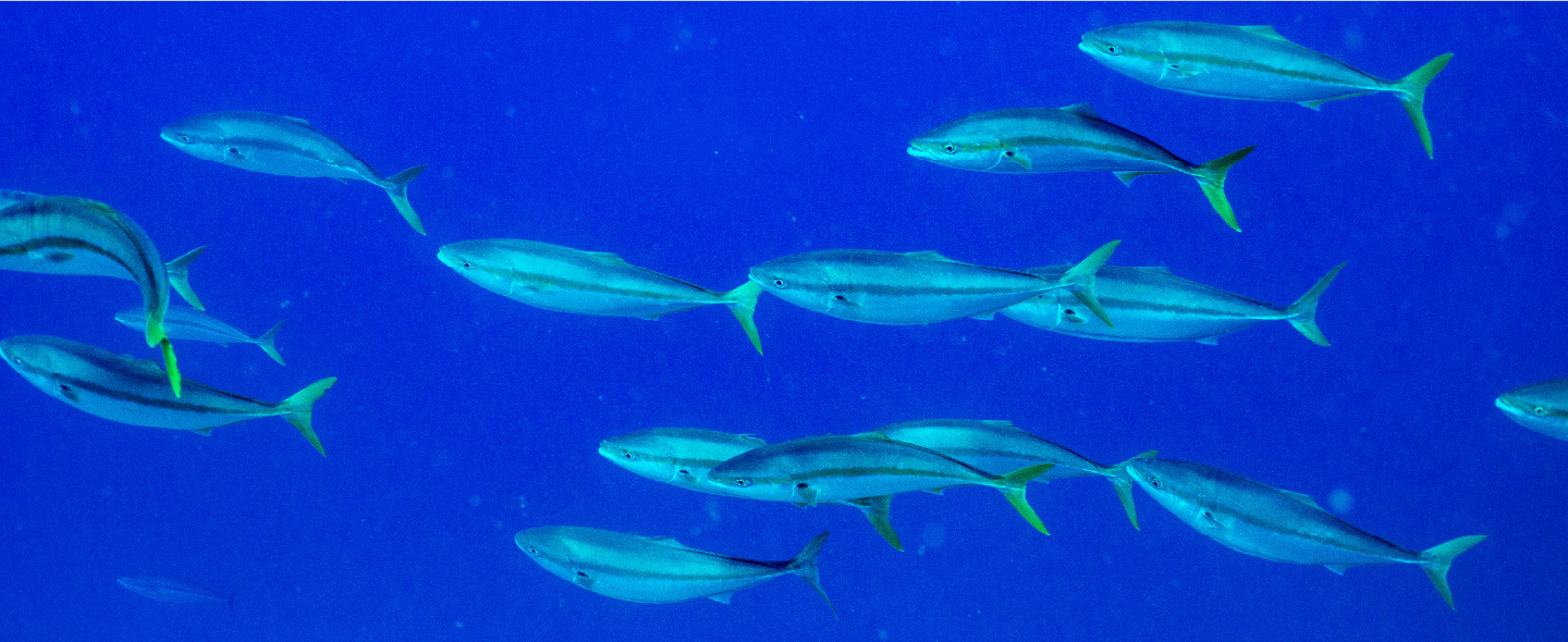 豊産業機械販売有限会社