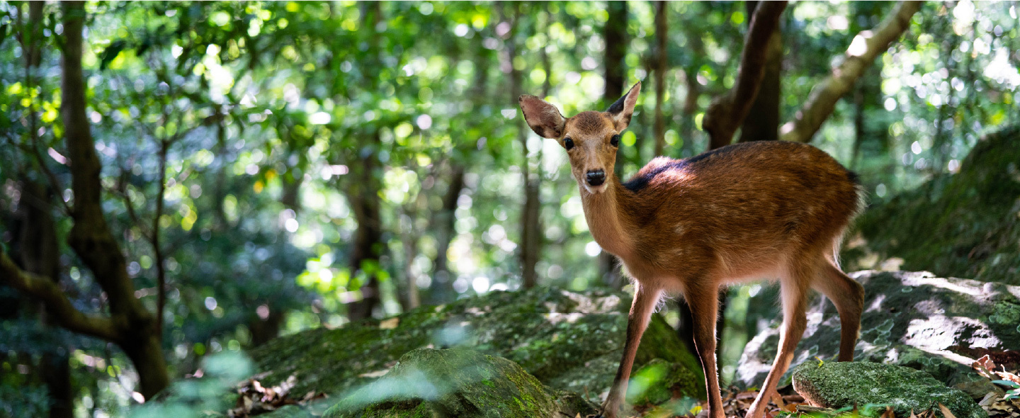 豊産業機械販売有限会社