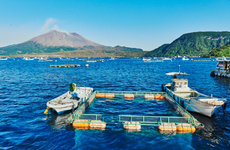 現場を知り向き合うことももちろん大事。