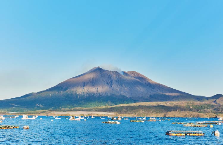 現場での組み立て