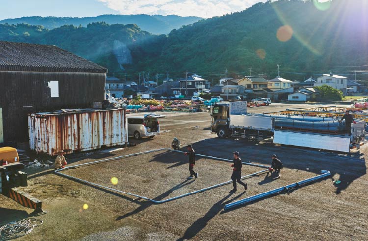 現場での組み立て