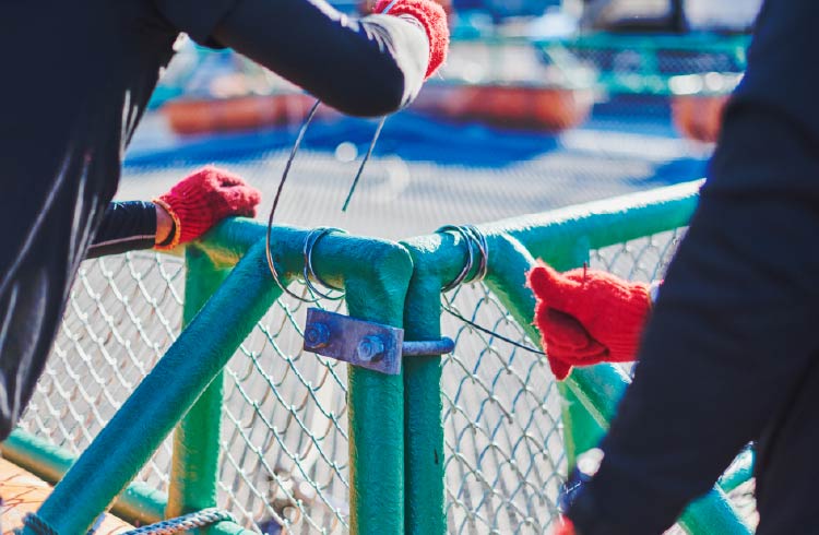 現場での組み立て