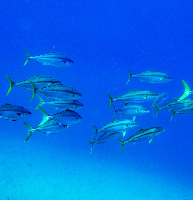 豊産業機械販売有限会社