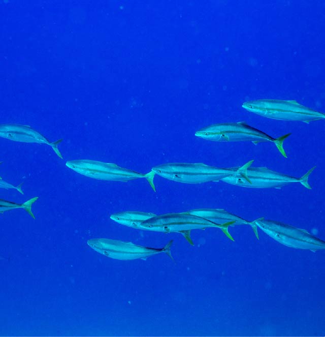 豊産業機械販売有限会社