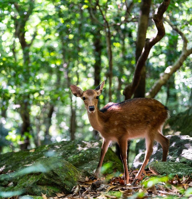 豊産業機械販売有限会社